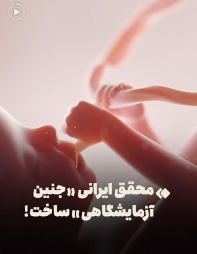 محقق ایرانی «جنین آزمایشگاهی» ساخت